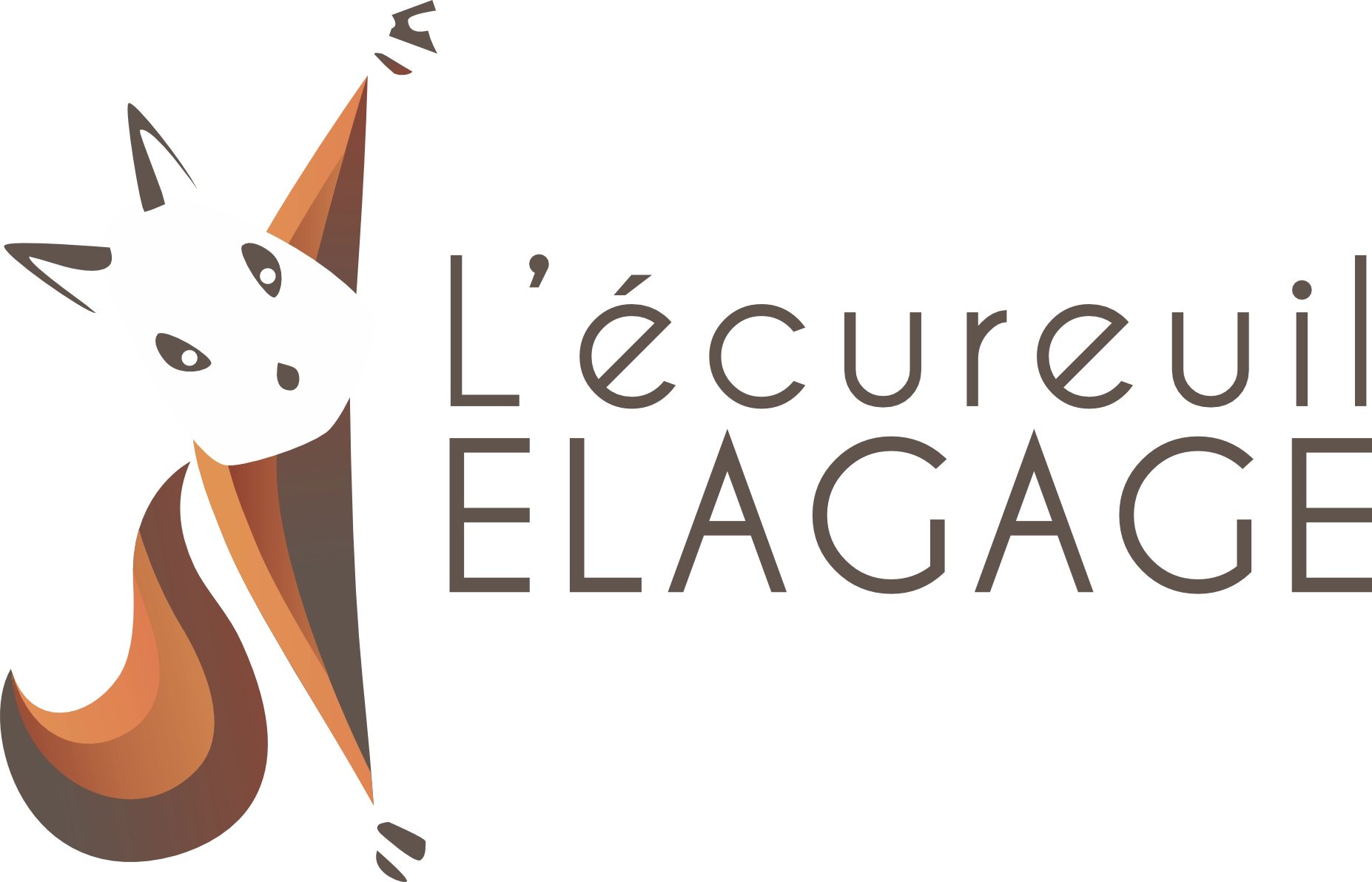 L'Écureuil Élagage
